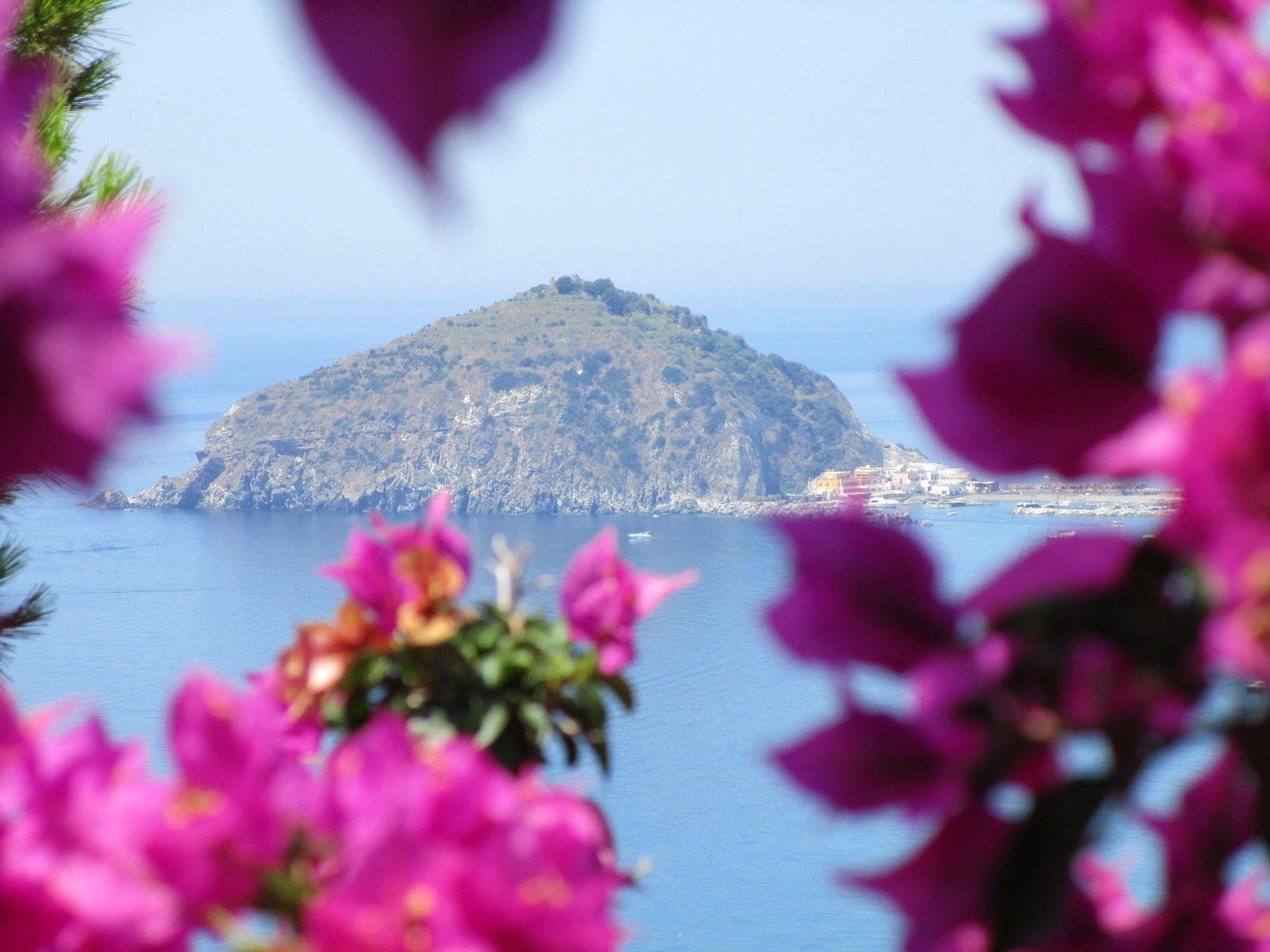 Hotel Villa Al Mare Barano dʼIschia Exterior foto